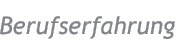 Berufserfahrung