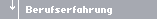 Berufserfahrung